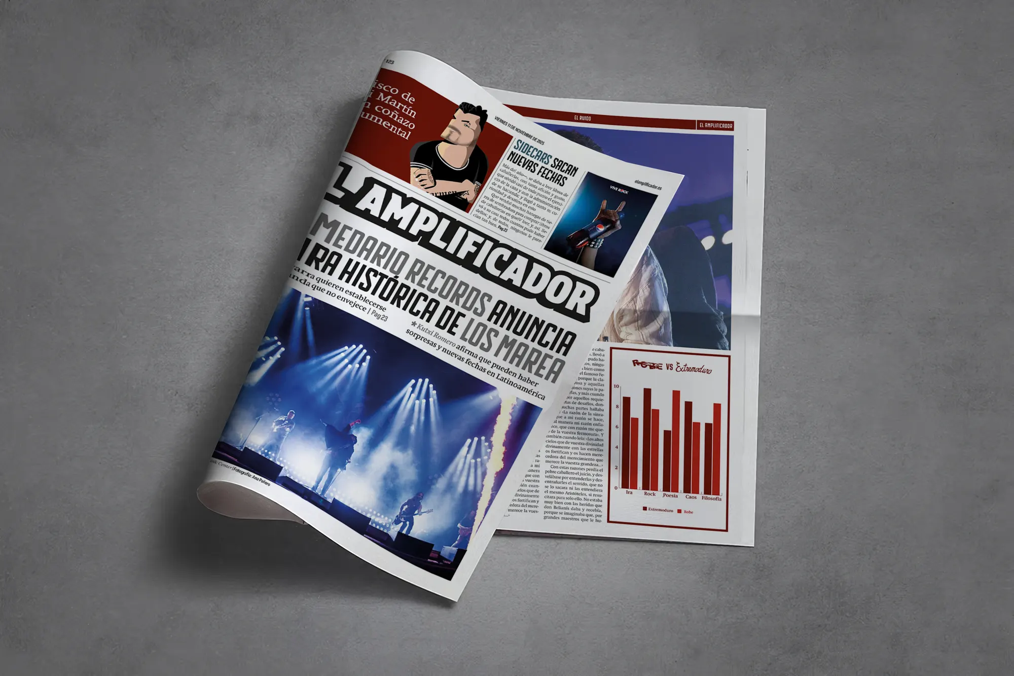 EL AMPLIFICADOR — detalle