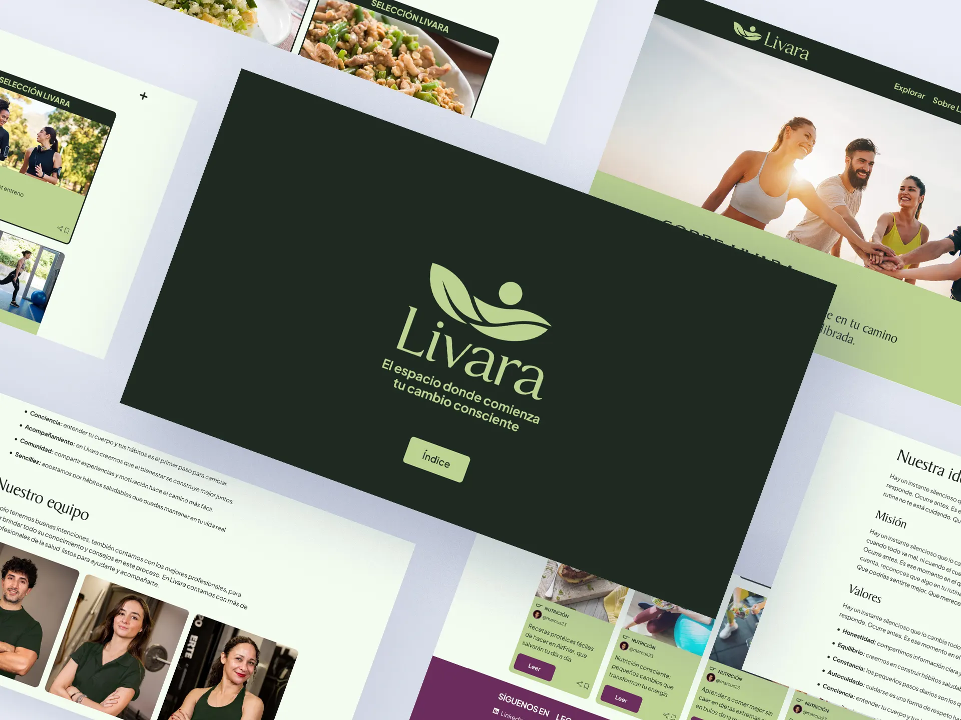 LIVARA — proceso